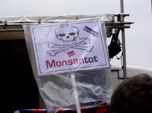 Monsanto 2013 05 (4)